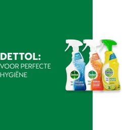 Dettol - 1,5L Allesreiniger Spray Power & Fresh - Badkamer 1x500 Ml Keuken 1x500ml Citrus 1x500ml - Voordeelverpakking 12 Dettol - 1,5L Allesreiniger Spray Power & Fresh - Badkamer 1x500 Ml Keuken 1x500ml Citrus 1x500ml - Voordeelverpakking -Leven Producten Winkel 1159x1200 2