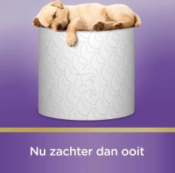 Page Toiletpapier - Kussenzacht Wc Papier - Voordeelverpakking - 24 Rollen -Leven Producten Winkel 1200x1186 2