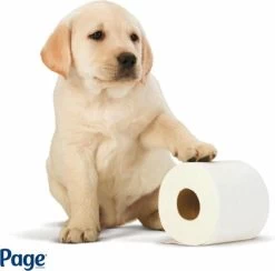 Page Toiletpapier - Eco - Duurzaam - 24 Rollen - Voordeelverpakking -Leven Producten Winkel 1200x1186 3