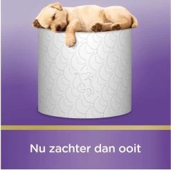 Scottex Toiletpapier - Kussenzacht Design Wc Papier - 84 Rollen 11 Scottex Toiletpapier - Kussenzacht Design Wc Papier - 84 Rollen -Leven Producten Winkel 1200x1197 15