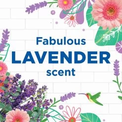 6x WC Eend Toiletreiniger Lavendel Fresh 750 Ml 12 6x WC Eend Toiletreiniger Lavendel Fresh 750 Ml -Leven Producten Winkel 1200x1200 1030