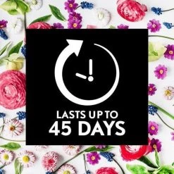 Air Wick Essential Mist Automatische Geurverspreider Luchtverfrisser - Innerlijke Rust - Navulling 17 Air Wick Essential Mist Automatische Geurverspreider Luchtverfrisser - Innerlijke Rust - Navulling -Leven Producten Winkel 1200x1200 1126