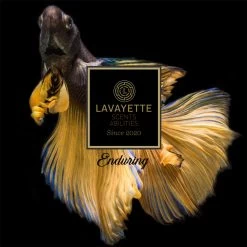 Lavayette Premium Wasparfum - Proefpakket 9x25ml - Geurbooster 18 Lavayette Premium Wasparfum - Proefpakket 9x25ml - Geurbooster -Leven Producten Winkel 1200x1200 339