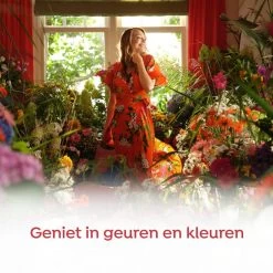 Robijn Klein & Krachtig Rosé Chique Vloeibaar Wasmiddel - 8 X 19 Wasbeurten - Voordeelverpakking 12 Robijn Klein & Krachtig Rosé Chique Vloeibaar Wasmiddel - 8 X 19 Wasbeurten - Voordeelverpakking -Leven Producten Winkel 1200x1200 34