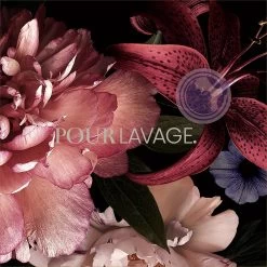 Lavayette Premium Wasparfum - Jasmin Shades - Geurbooster 500ml (Diamante) -Leven Producten Winkel 1200x1200 351