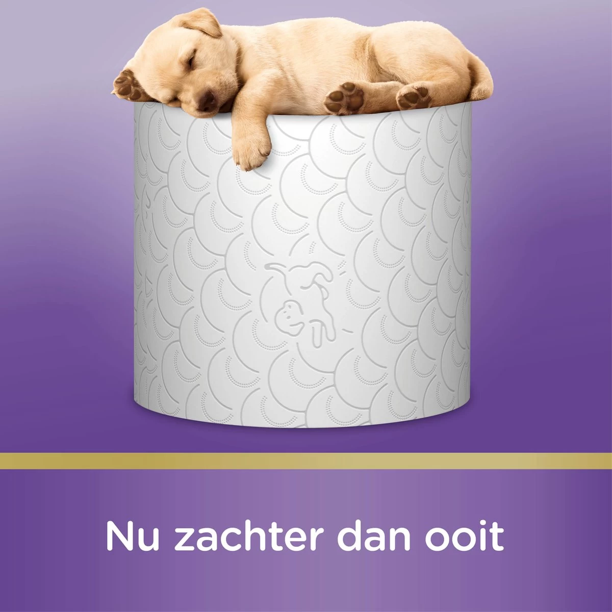 Page Toiletpapier - 42 Rollen - Kussenzacht Wc Papier (3-laags) - Voordeelverpakking 13 Page Toiletpapier - 42 Rollen - Kussenzacht Wc Papier (3-laags) - Voordeelverpakking - Afbeelding 11