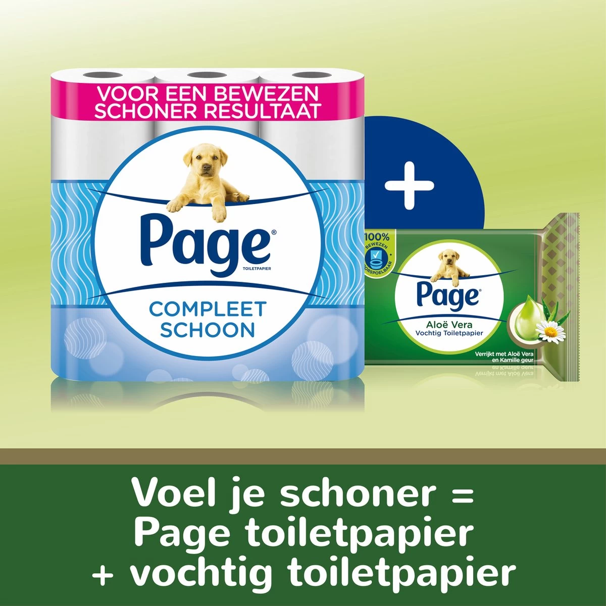 Page Vochtig Toiletpapier - 6 X 74 Stuks - Aloë Vera Maxi Vochtig Wc Papier - Voordeelverpakking 10 Page Vochtig Toiletpapier - 6 X 74 Stuks - Aloë Vera Maxi Vochtig Wc Papier - Voordeelverpakking - Afbeelding 8