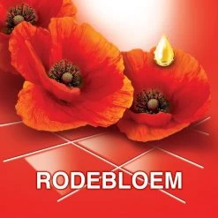 Ajax® Ajax Allesreiniger Fête Des Fleur Rode Bloem 8 X 1L - Voordeelverpakking 14 Ajax® Ajax Allesreiniger Fête Des Fleur Rode Bloem 8 X 1L - Voordeelverpakking -Leven Producten Winkel 1200x1200 890