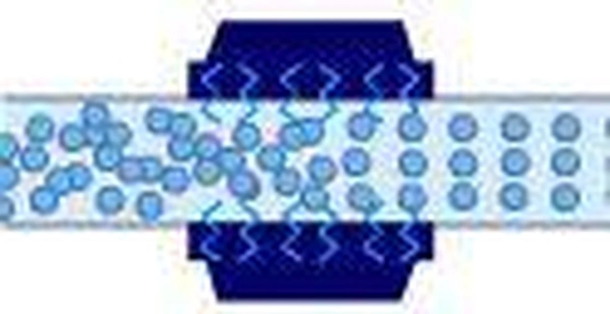 Alpine® Hét Waterontharder Alternatief All-in-one XL Antikalk Magneet Voor Koper En Kunststof Leidingen 20.000 Gauss - Energiebesparing - Energie Besparen - Gas Besparen 6 Alpine® Hét Waterontharder Alternatief All-in-one XL Antikalk Magneet Voor Koper En Kunststof Leidingen 20.000 Gauss - Energiebesparing - Energie Besparen - Gas Besparen - Afbeelding 4