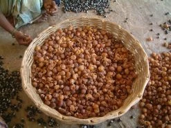 Wasnoten 750gr Met Waszakje - Zeepnoten - Natuurlijk Wassen 14 Wasnoten 750gr Met Waszakje - Zeepnoten - Natuurlijk Wassen -Leven Producten Winkel 1200x900