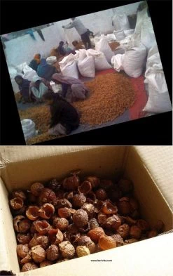 Wasnoten Start 150gr Met Waszakje - Zeepnoten - Natuurlijk Wassen 11 Wasnoten Start 150gr Met Waszakje - Zeepnoten - Natuurlijk Wassen -Leven Producten Winkel 755x1200 1